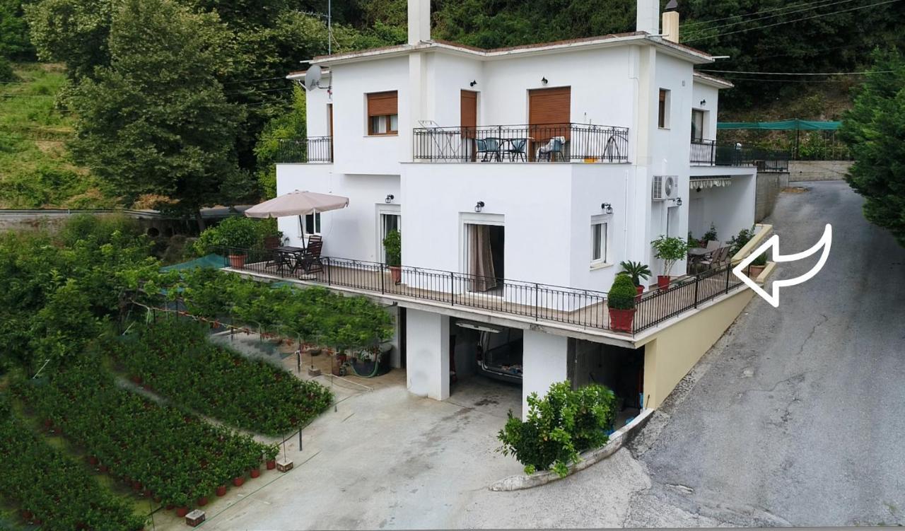 Makrirrákhi D & K Guest House מראה חיצוני תמונה